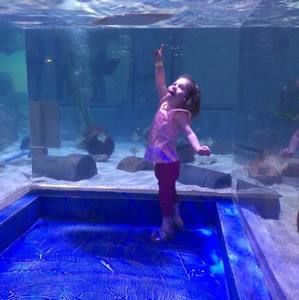 Meet your Posher, Holly